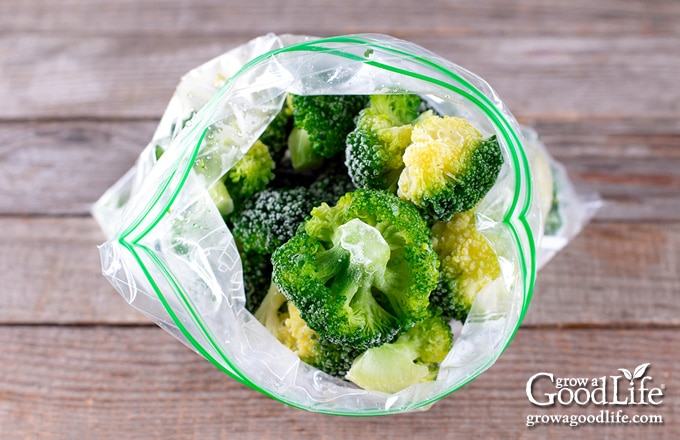 broccoli in a freezer bag