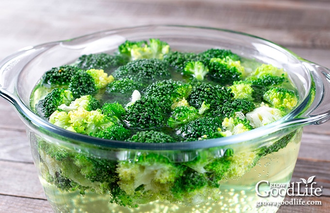 image of broccoli pieces in a bowl of salt water