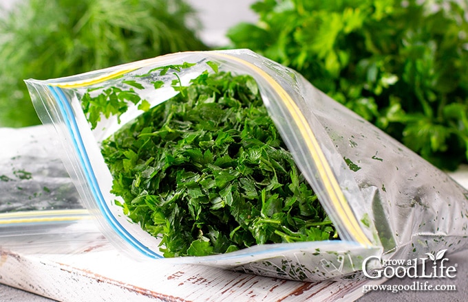 image of a freezer bag filled with chopped parsley