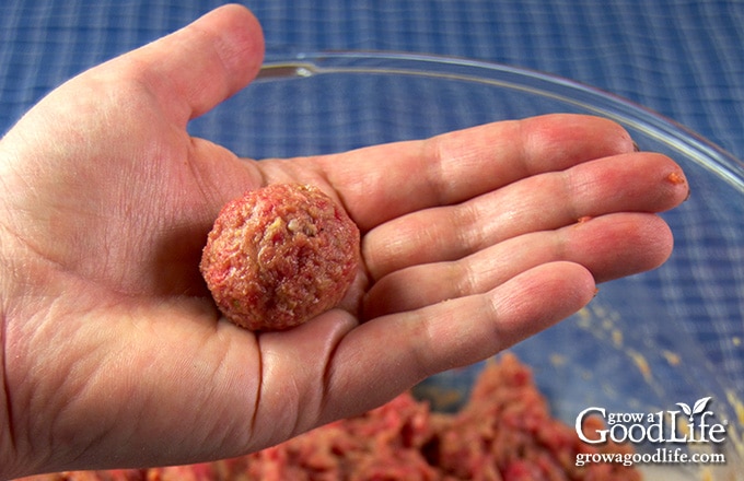 image of a hand holding a meatball