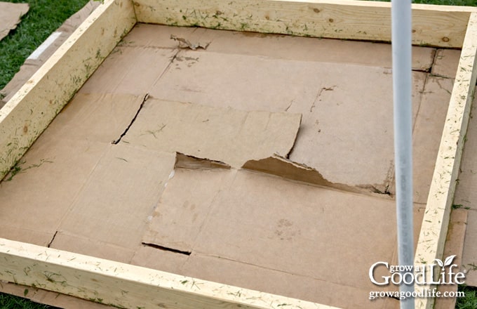 Square foot garden box positioned on cardboard to suppress grass underneath.