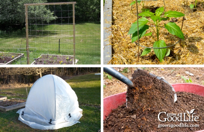 Collage showing square foot garden upgrades including mulch, trellis, low tunnel cover, and compost.