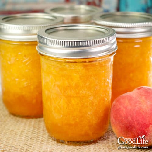 Maple Vanilla Peach Jam