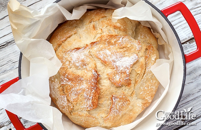 Dutch Oven Bread (No Knead) • Longbourn Farm