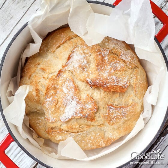 No-Knead Dutch Oven Bread