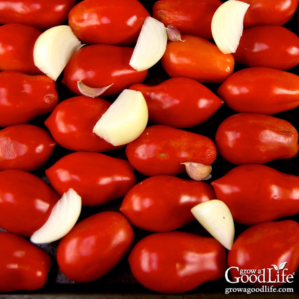 Tomatoes, onions, and garlic spread on a baking sheet, ready to roast in the oven for pizza sauce.