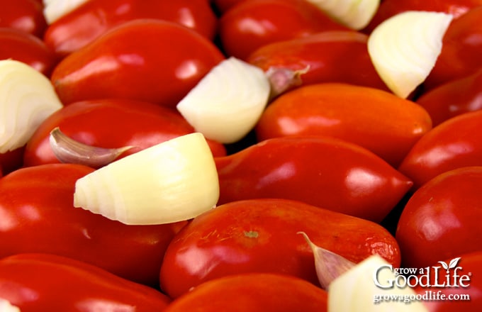 tomatoes, onions, garlic on a baking sheet