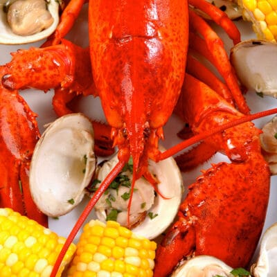 pile of cooked lobsters, clams, corn, and potatoes on a table