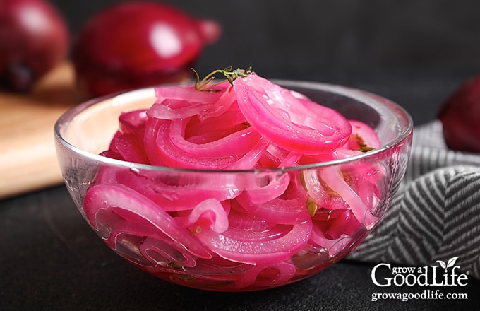 bowl of red pickled onions on a table