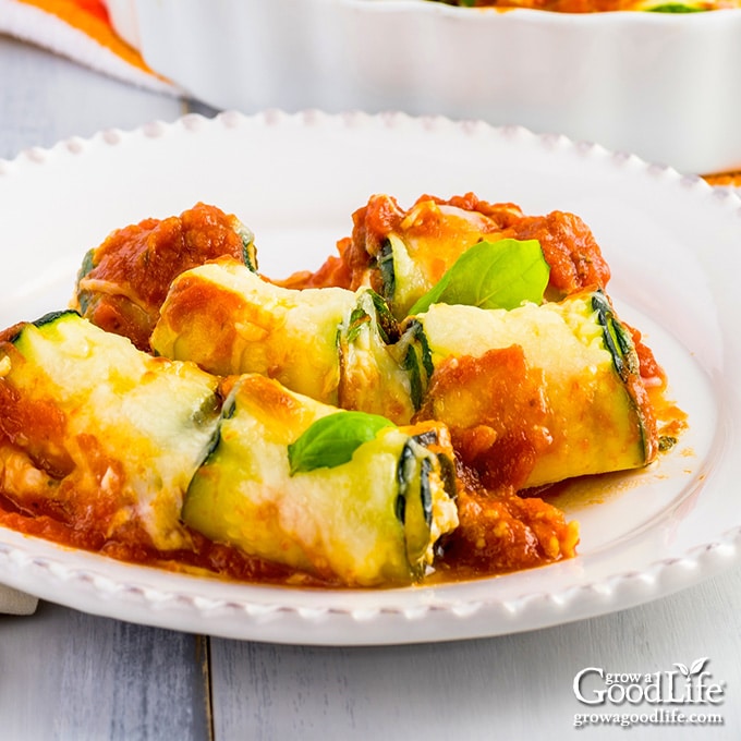 cheese zucchini roll ups on a white plate