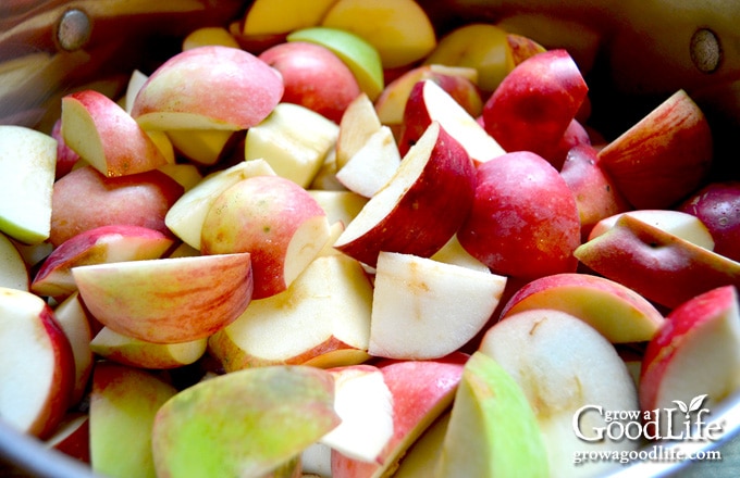 cut apples in a pot