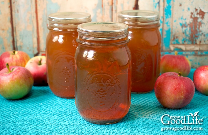  pots mason de jus de pomme sur une serviette bleue