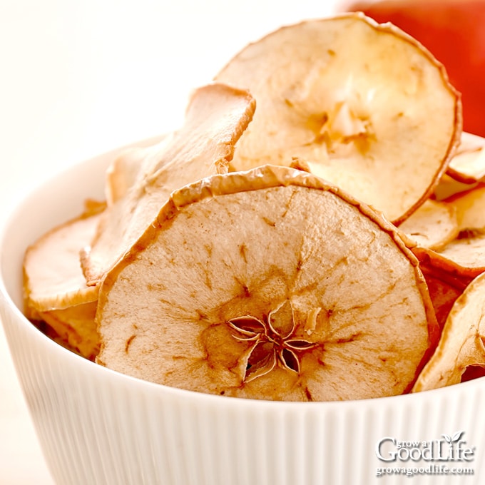 dried cinnamon apple chips in a bowl