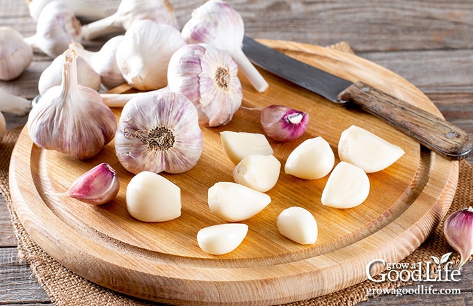 garlic cloves on a cutting board