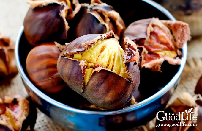 roasted chestnuts ready to peel in a bowl