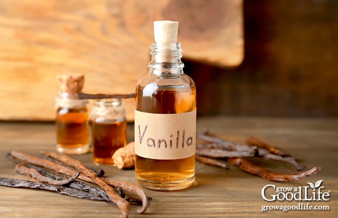bottle of homemade vanilla extract on a table with vanilla beans
