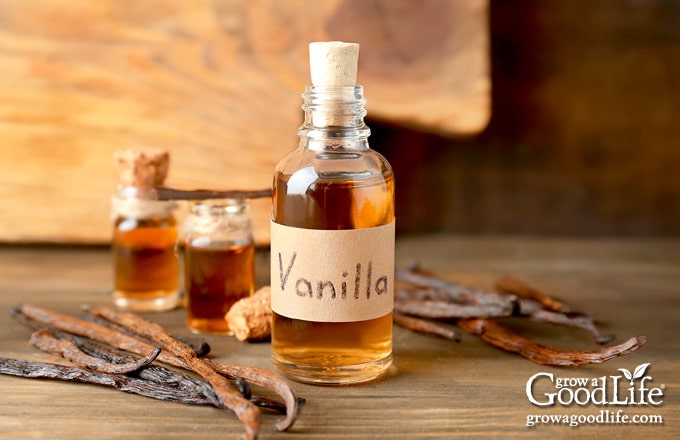 How to Make Vanilla Extract