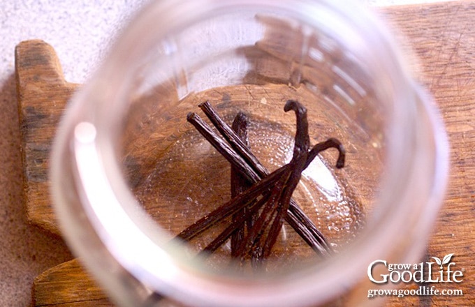 close up of vanilla beans in jar