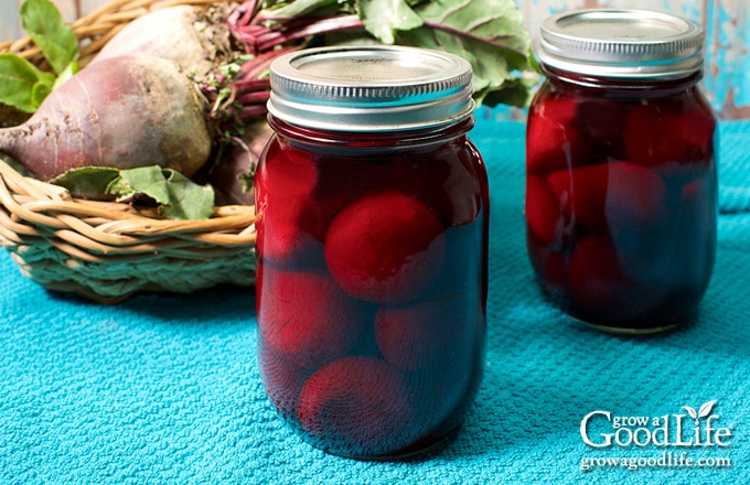jars of home canned beets
