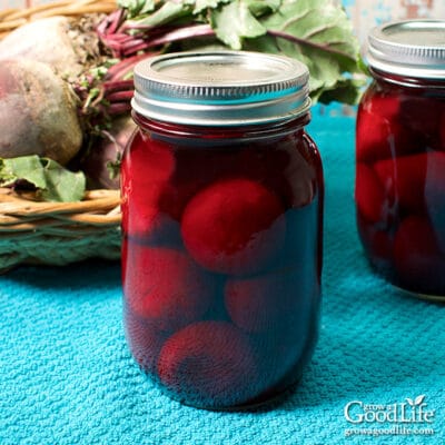 jars of home canned beets on a table