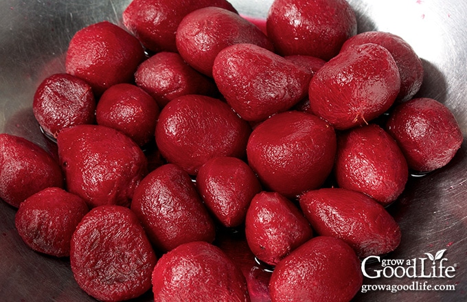 close up of a bowl of small peeled beets ready for canning