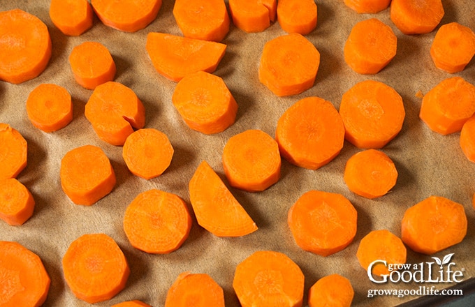 carrots on tray ready to freeze