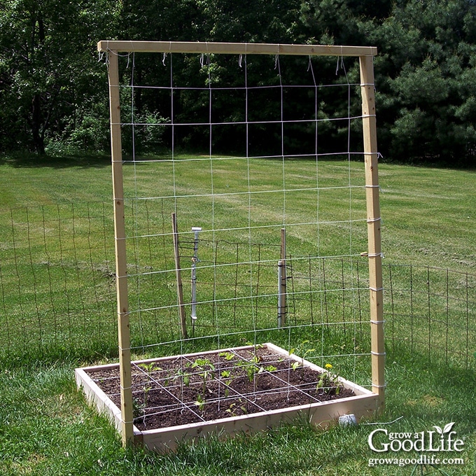 image of square foot garden trellis