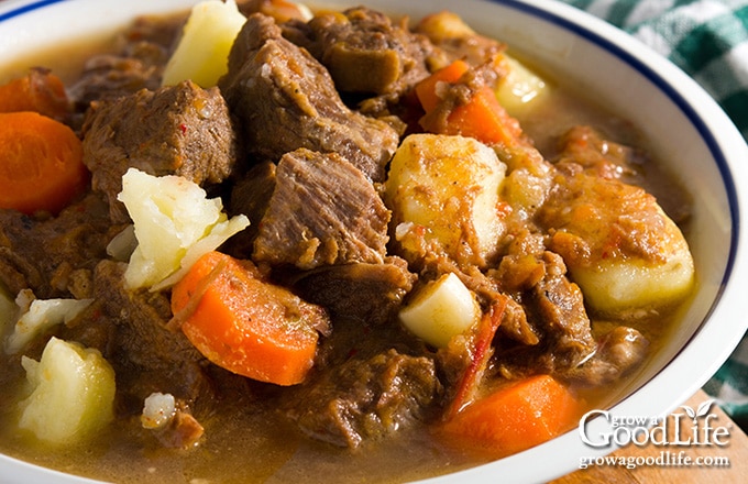 close up of a bowl of beef stew