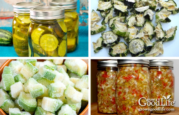 preserve zucchini images pickled, relish, dried, and frozen