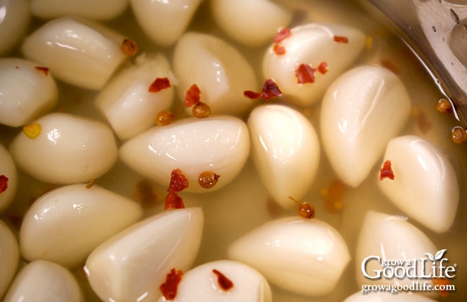 close up of garlic cloves in a pot of pickling brine