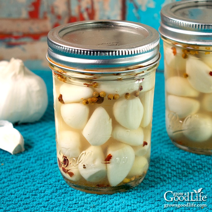 two jars of pickled garlic on a table