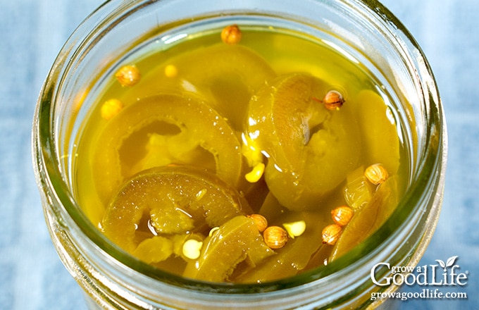 over head view of candied jalapenos in a jar