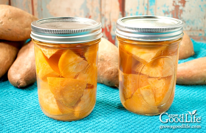 two jars of home canned sweet potatoes on a blue towel