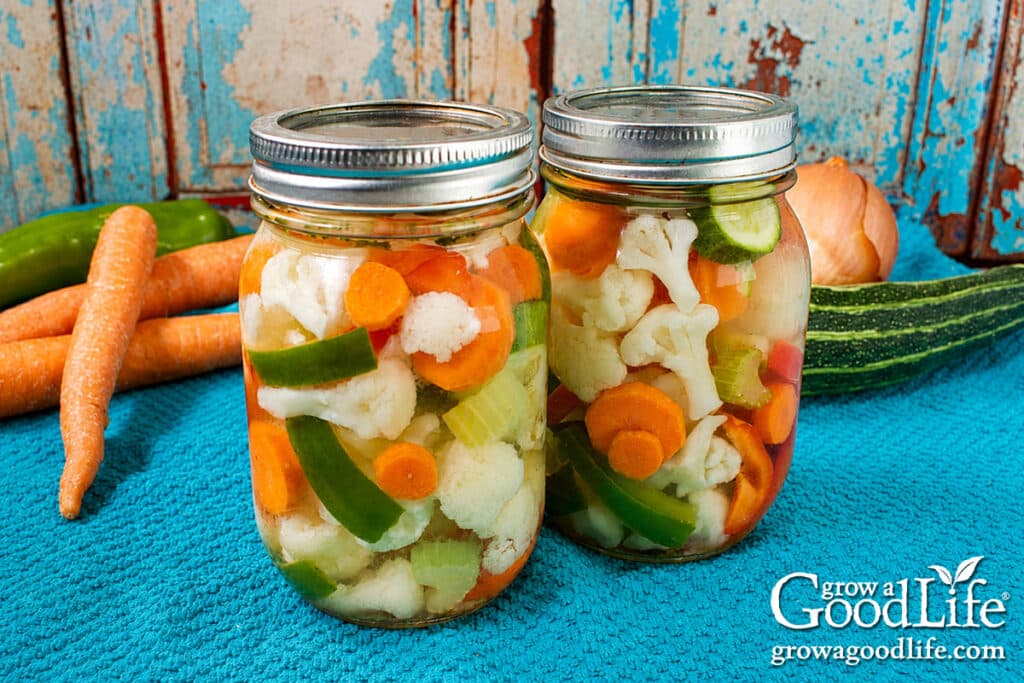 Finished jars of giardiniera pickled vegetables cooling after water bath canning.