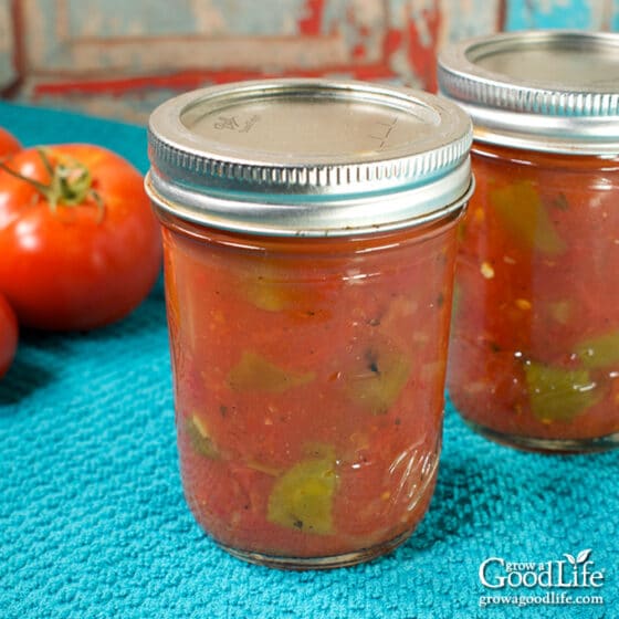 RotelStyle Tomatoes and Green Chilies Canning Recipe