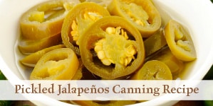 pickled jalapeños in a bowl