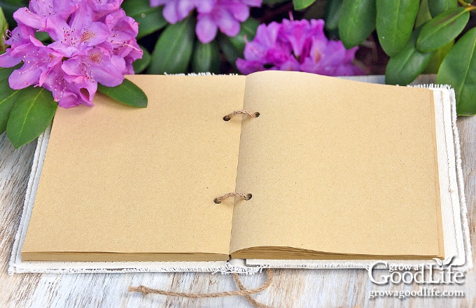 How to Start Keeping a Garden Journal (and Why You'll Thank Me