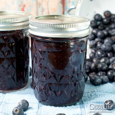 2 jars of homemade blueberry jam on a table.