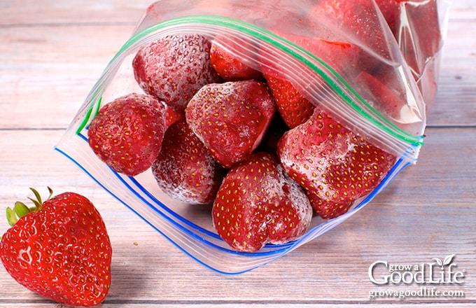 Close up of frozen strawberries in a freezer bag.
