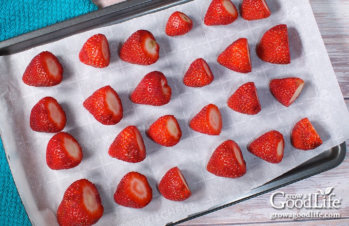 Prepared strawberries on a baking sheet ready to freeze.