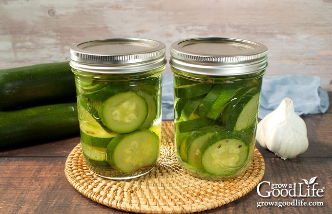 Two jars of dill pickled zucchini on a table.