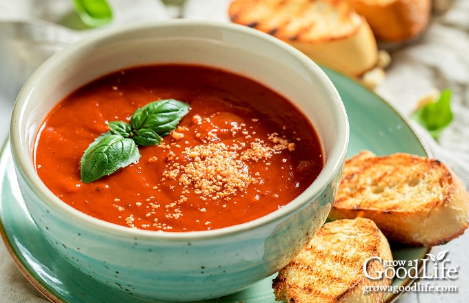 Roasted tomato soup in a bowl garnished with fresh basil and grated cheese.