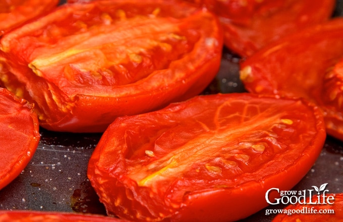 Close up image of roasted tomatoes in a baking tray.