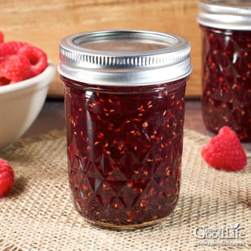 Raspberry Jam Recipe, Zero Calorie Sweetener & Sugar Substitute