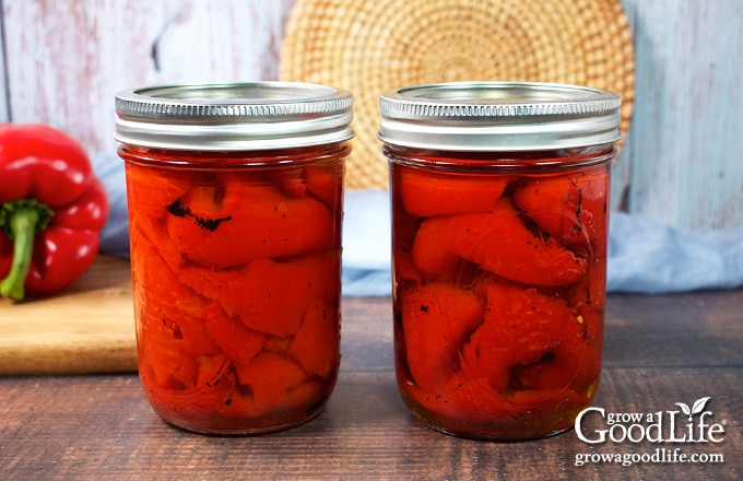 Jars of home canned roasted red bell peppers on a table.
