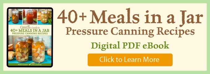 Ad image for 40+ Meals in a Jar Pressure Canning Recipes eBook