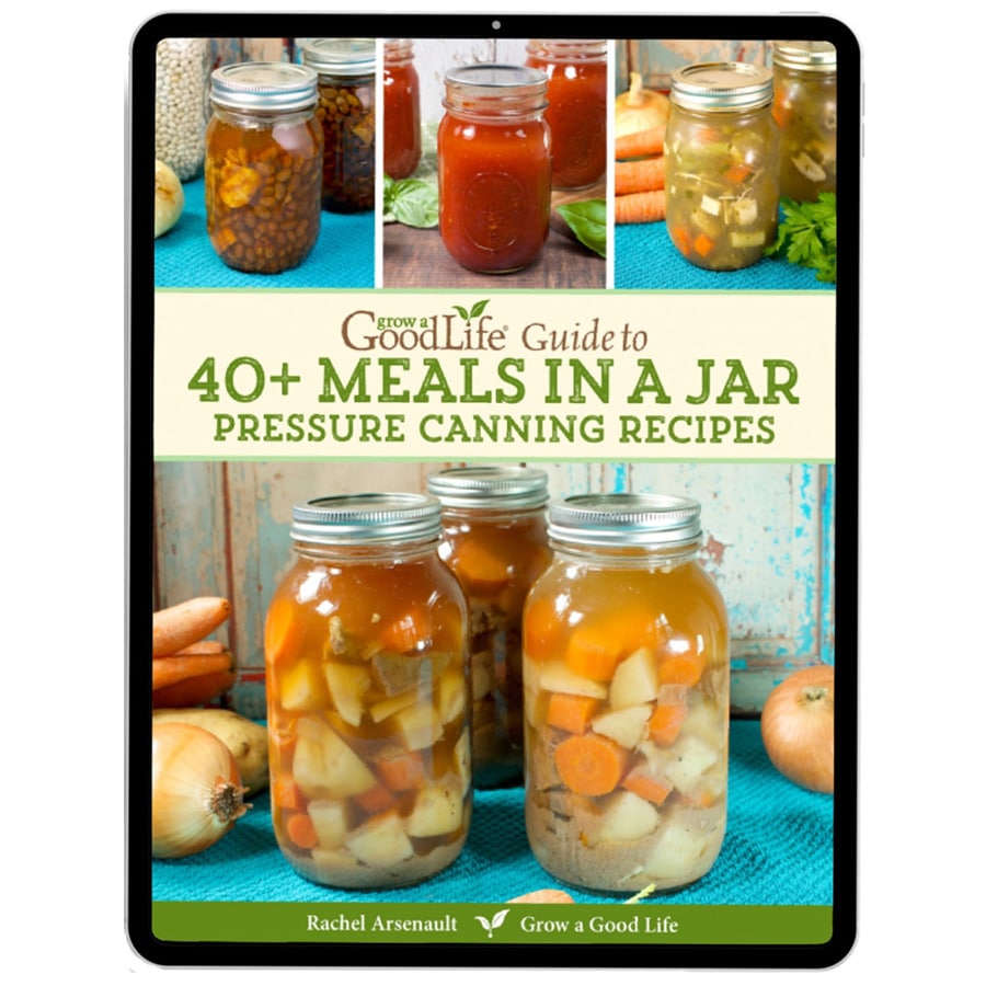 Meals in a Jar ebook cover
