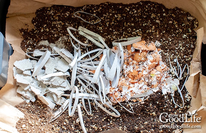 A worm bin filled with bedding material.