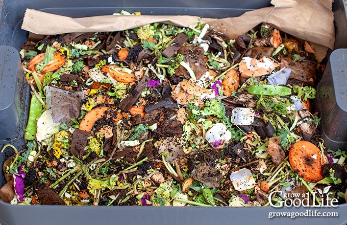 A layer of food scraps in a vermicomposting bin.