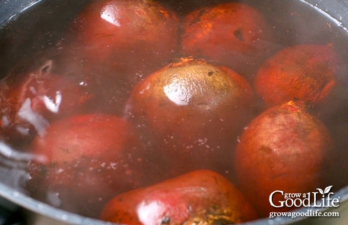 Cooking the beets in a large pot of water.
